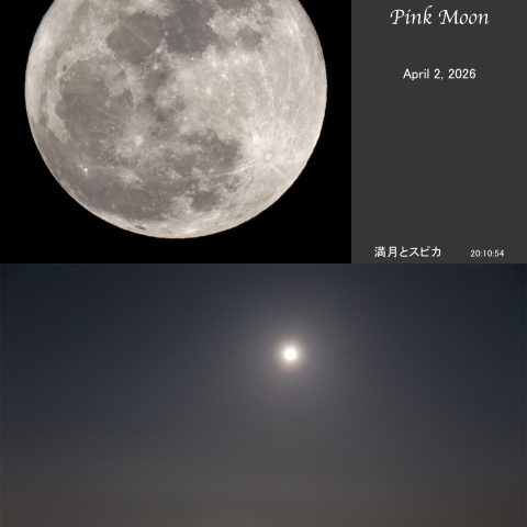 満月(月齢14.4) Pink Moon ＋ スピカ