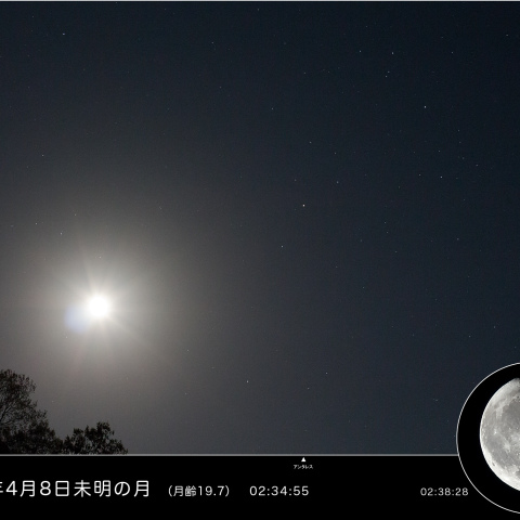 2026年4月8日未明の月