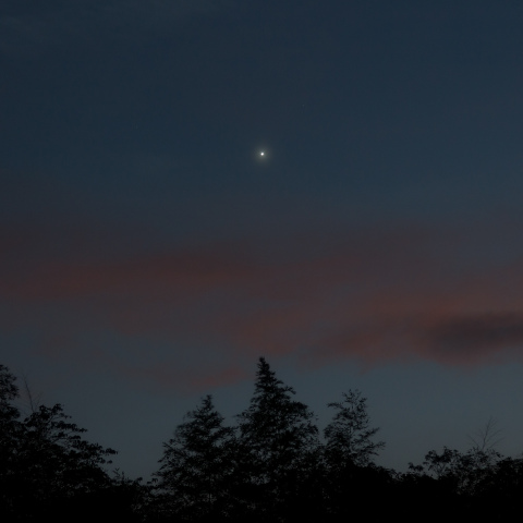 宵の明星