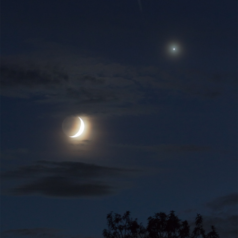 月（月齢 3.7）と 金星の接近