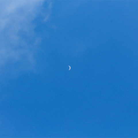 青空に浮かぶ金星