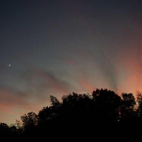 月と金星の接近と夕焼け