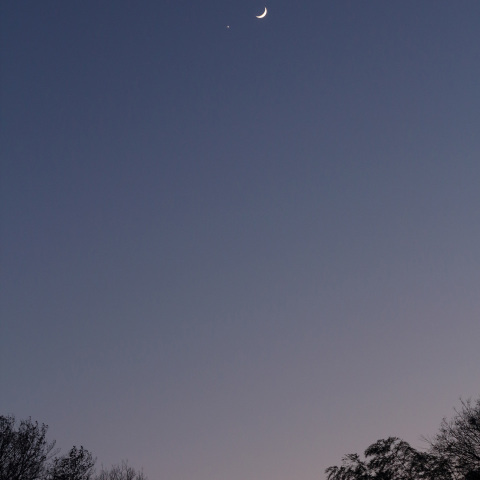 月と金星の接近