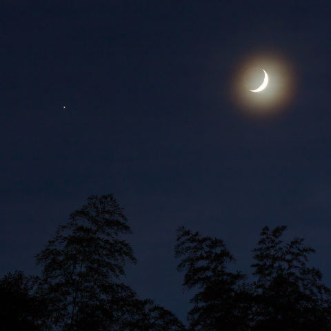 月と木星の接近