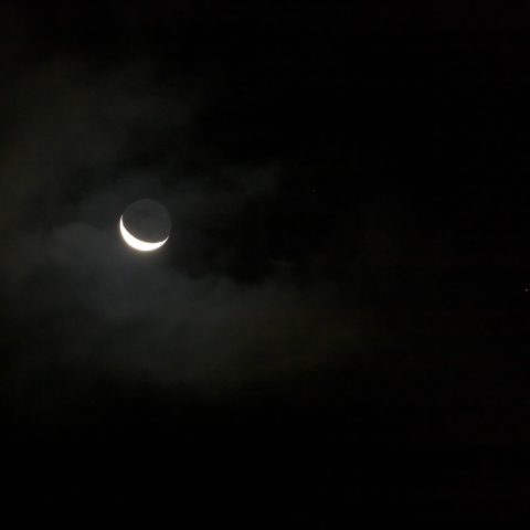 月と火星の接近