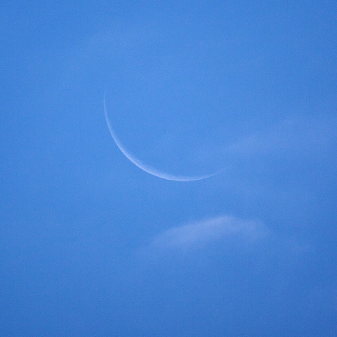 月齢27.4の細い月