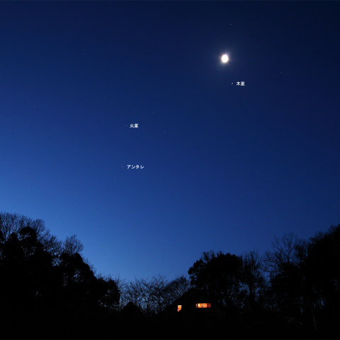 月と木星の接近