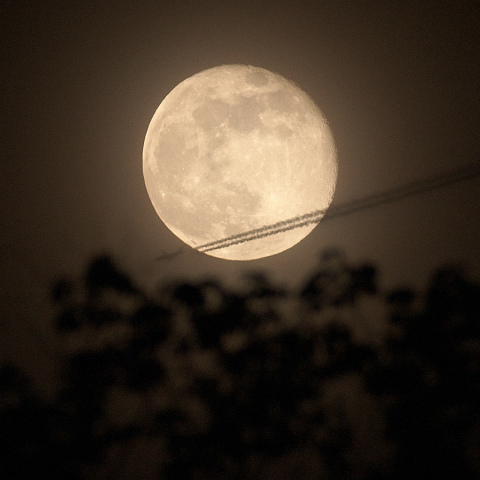 昇る月 (月齢15.4)