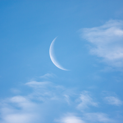 今朝の月 (月齢25.7)