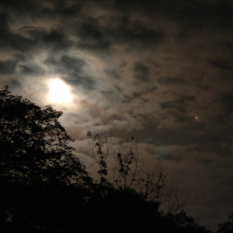 月と火星の接近