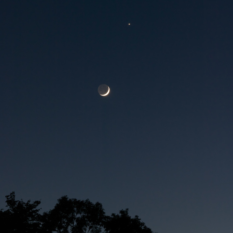 月と金星の接近