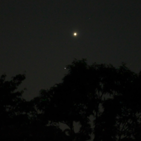 金星とレグルス