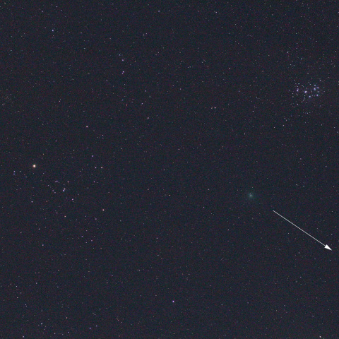 ウィルタネン彗星