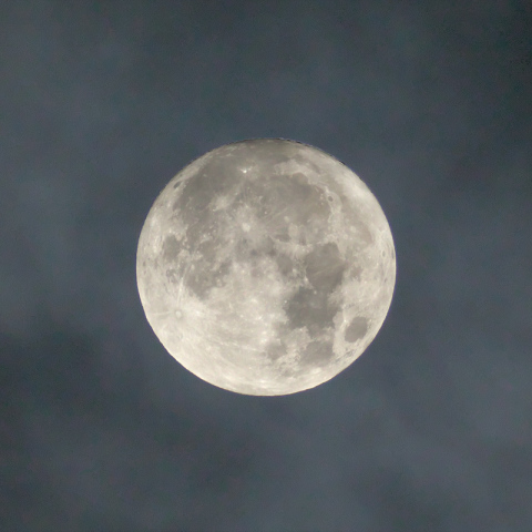 月齢 14.2（ほぼ中秋の名月）