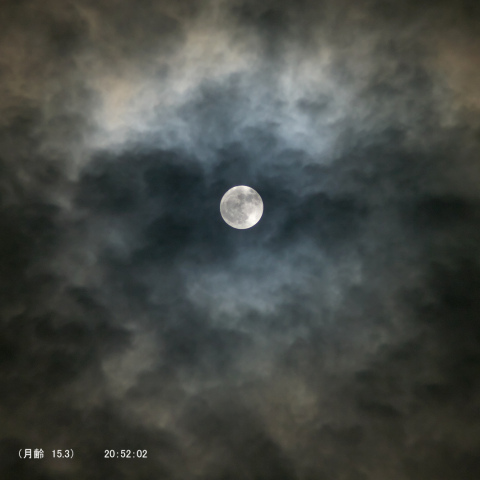 満月（月齢 15.3）
