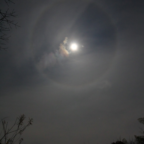 月暈