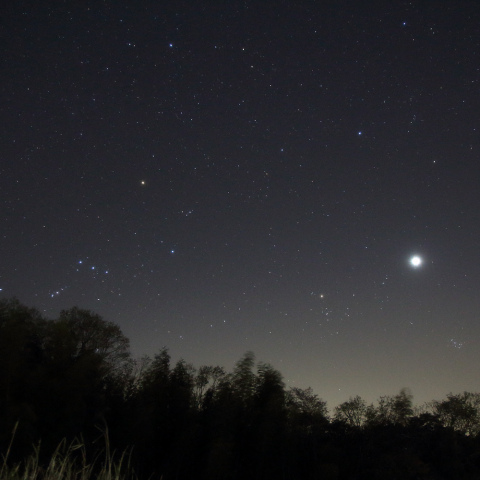 沈みゆく金星とオリオン＆おうし