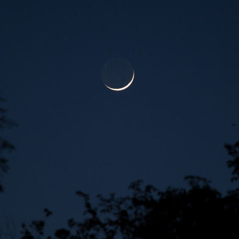 三日月（月齢 2.3）
