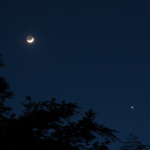 月と金星