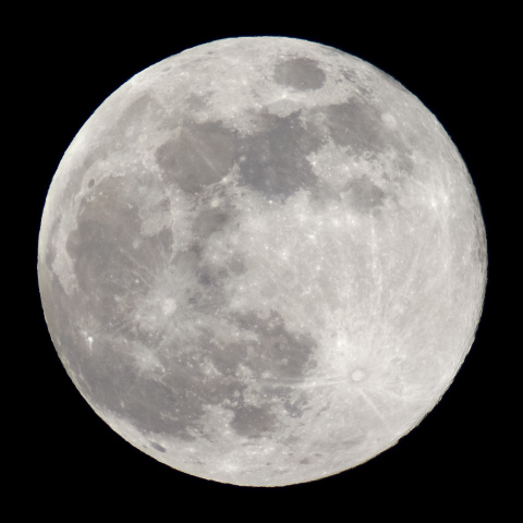 満月（月齢 14.4）