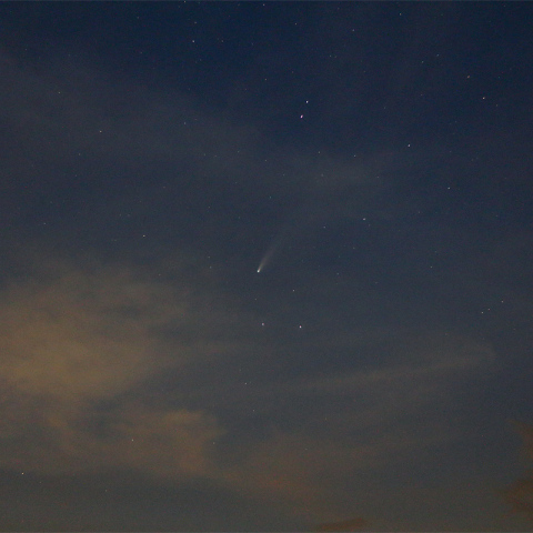 ネオワイズ彗星