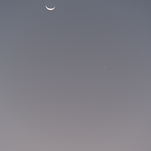 月と金星の接近