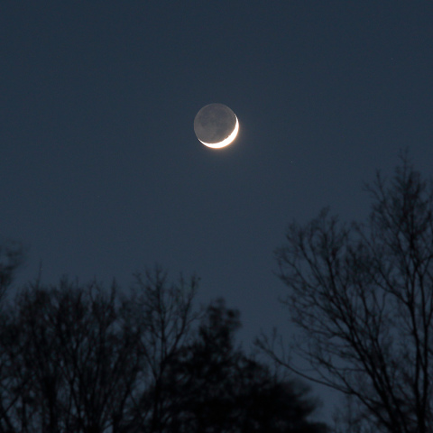 夕月（月齢 3.2）