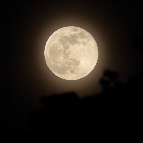 満月（月齢 15.4）