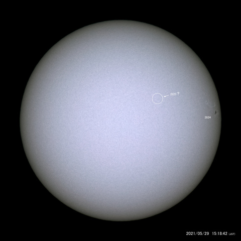 太陽黒点 (2021/05/29)