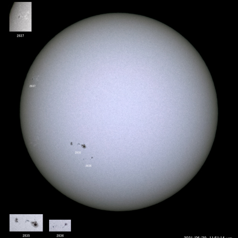 太陽黒点 (2021/06/29)