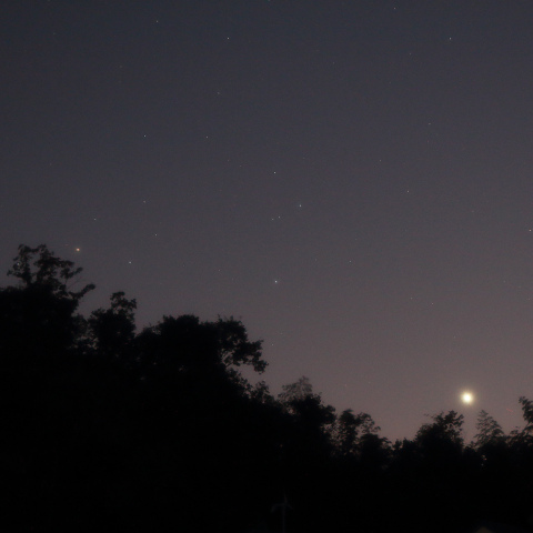 林に沈みゆく金星とアンタレス