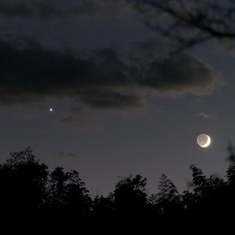 夕月と金星