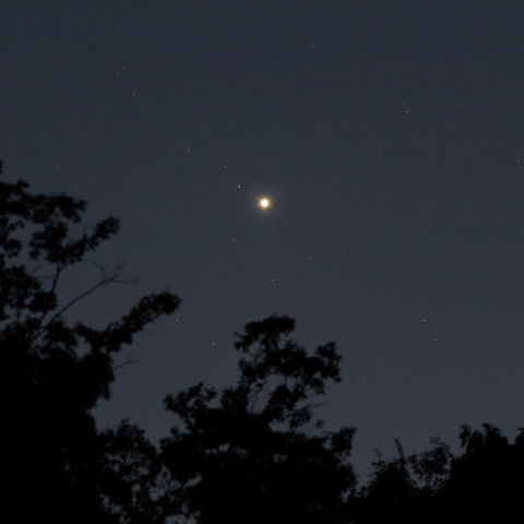 宵の明星