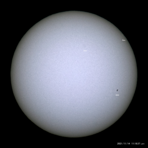 太陽黒点 (2021/11/14)