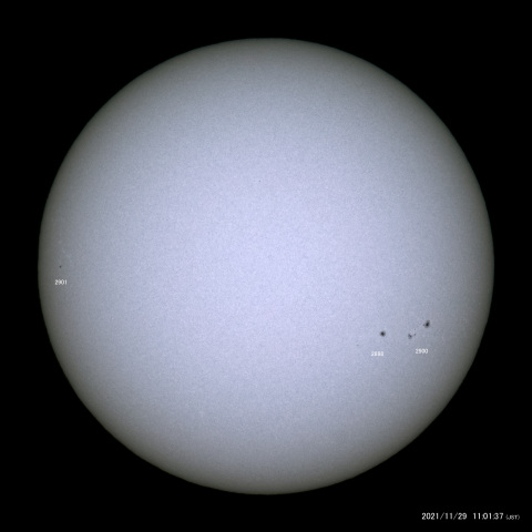 太陽黒点 (2021/11/29)