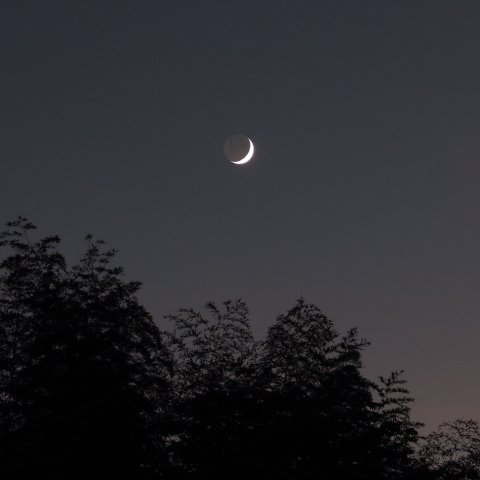 黄昏（月齢 3.7）