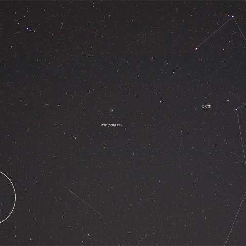 ZTF彗星 (C/2022 E3)