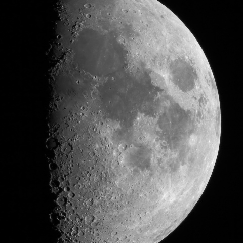 月齢 7.6（モノクロ）