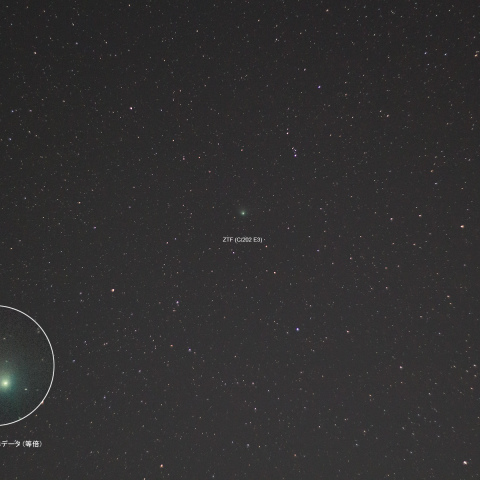 ZTF彗星 (C/2022 E3)