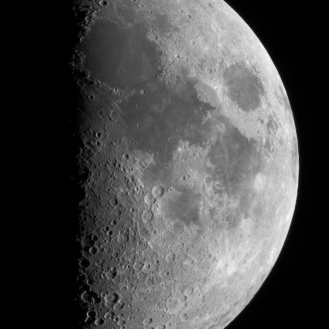 月齢 7.1（モノクロ）