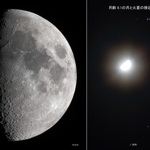 月齢 8.1 ＋ 月と火星の接近
