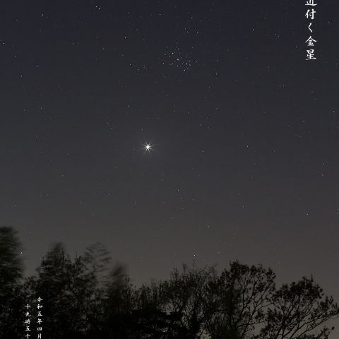 昴に近付く金星