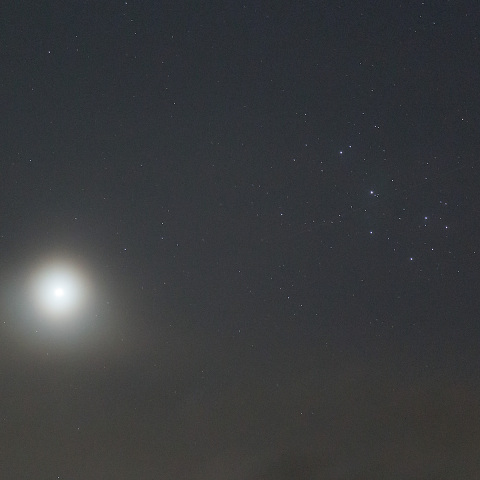 金星とプレアデス星団の接近