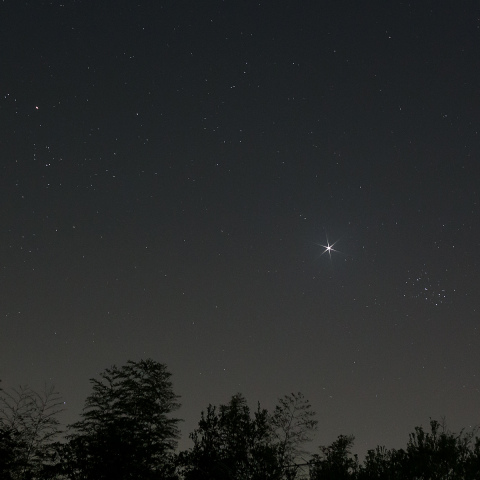 プレアデスとヒアデスの間を行く金星