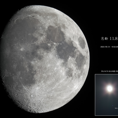 月齢 11.8（スピカと接近）