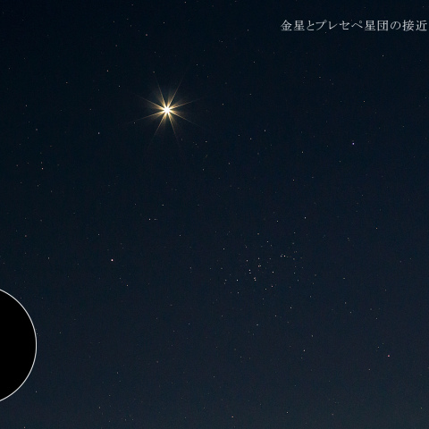 金星とプレセペ星団の接近