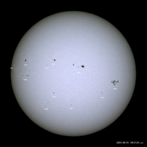 太陽黒点 (2023/08/01)