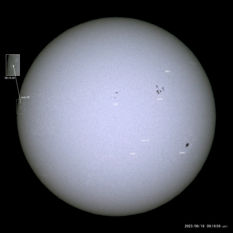 太陽黒点 (2023/08/12)