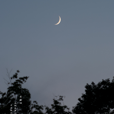 夕月（月齢 4.0）