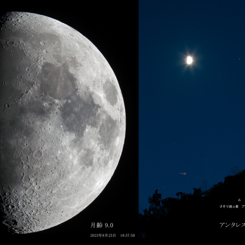 月齢 9.0（アンタレスと接近）